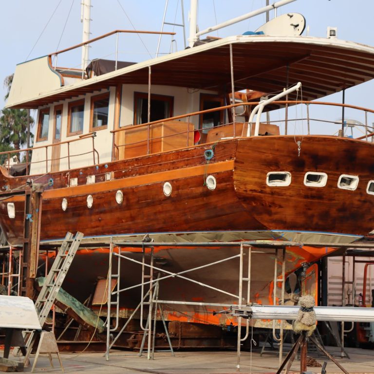 118210168 3569261596430130 4736530480038589209 n 768x768