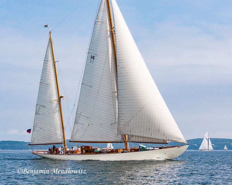 1226170 WCBS 3 768x612