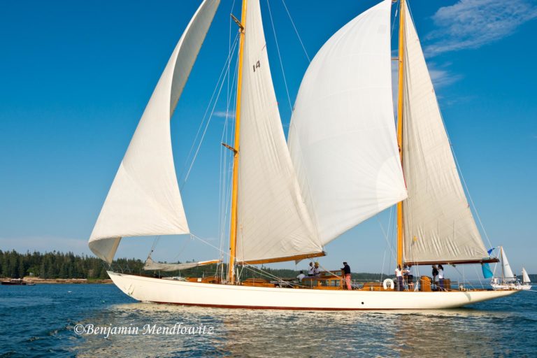 1226456 WCBS 768x512