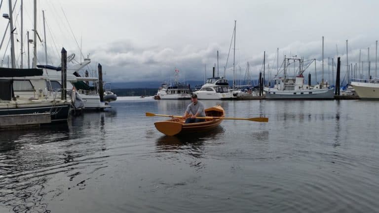 12440300 950108625067436 269730842934207430 o 768x432