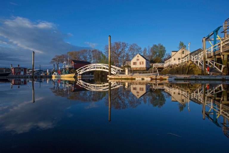 13268431 10154110537441287 5559813996136035101 o 768x512