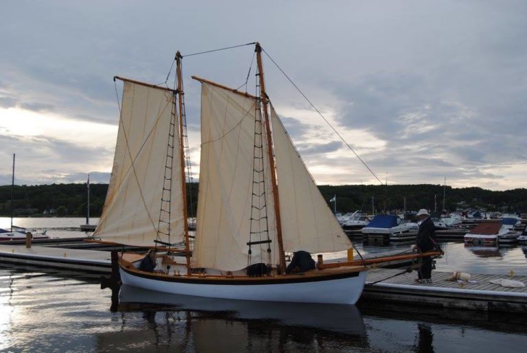 14115584 1079374202145401 47773234286439486 o 768x514