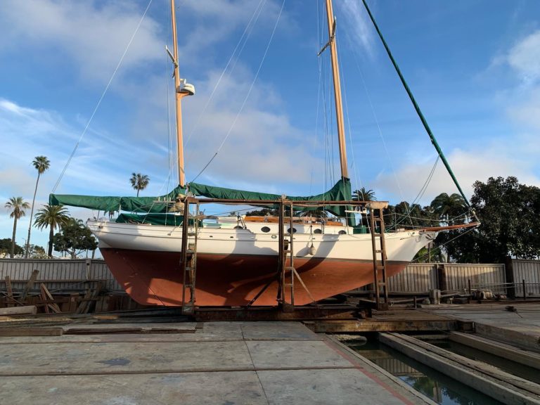 145625019 4014941668528785 568093435852979737 n 768x576