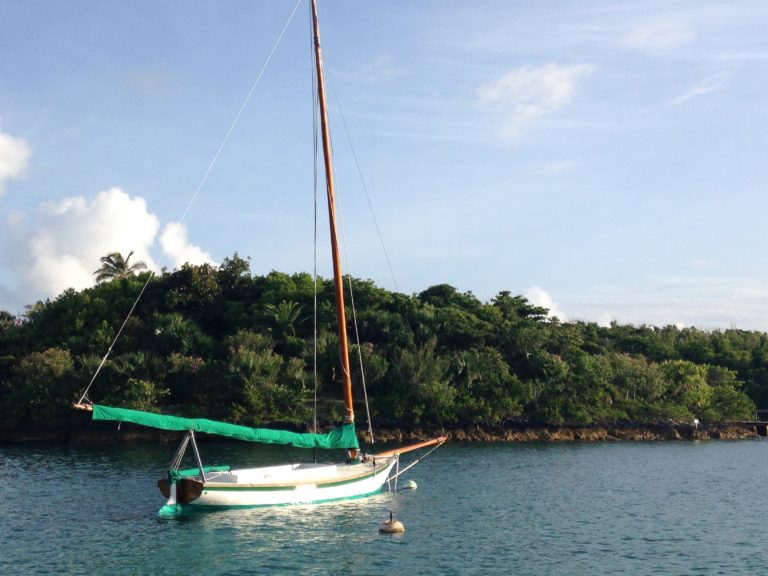 14E7A6CE DBA5 43CC AE99 DF9745DE76EC 768x576