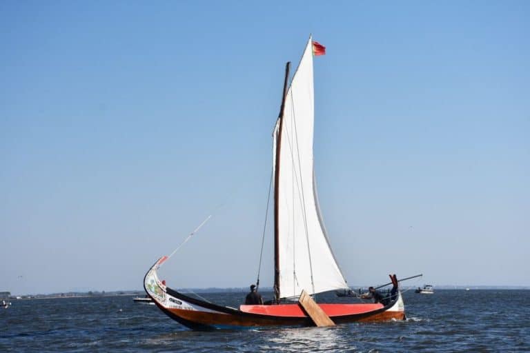 14 1 1250 2500nr 768x512