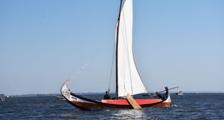 14 1 1250 2500nr copy 768x411