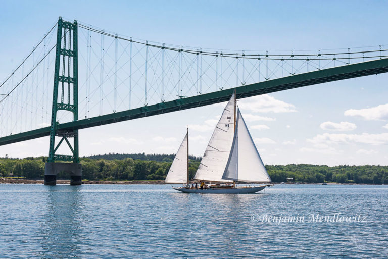 1516044 WCBS 768x513