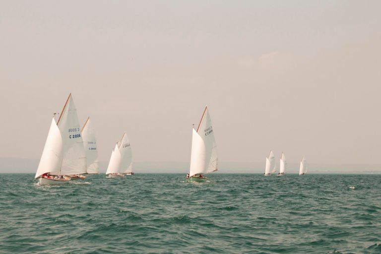 154669322 4142158202481387 4225863411733747574 n 768x512