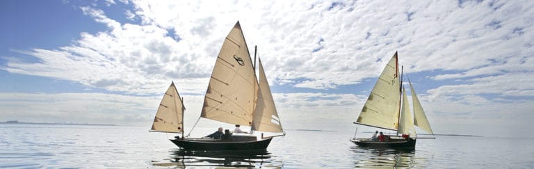 15708079crop 3 768x243