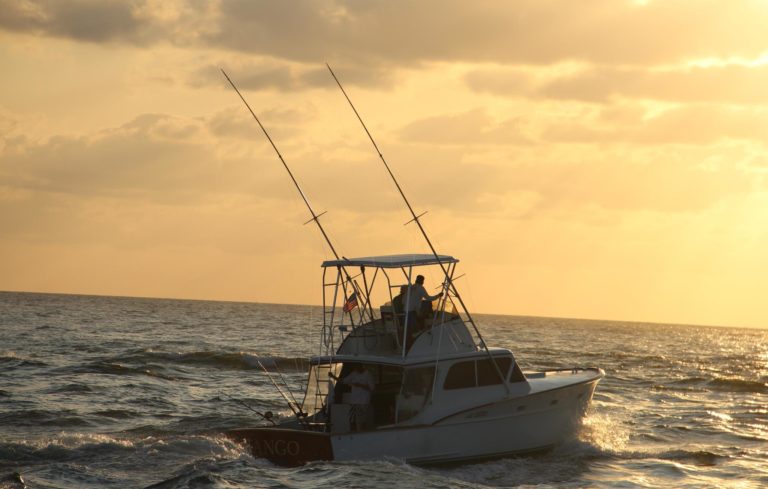 177860 3724045574286 1162689902 o 3724045574286 768x489