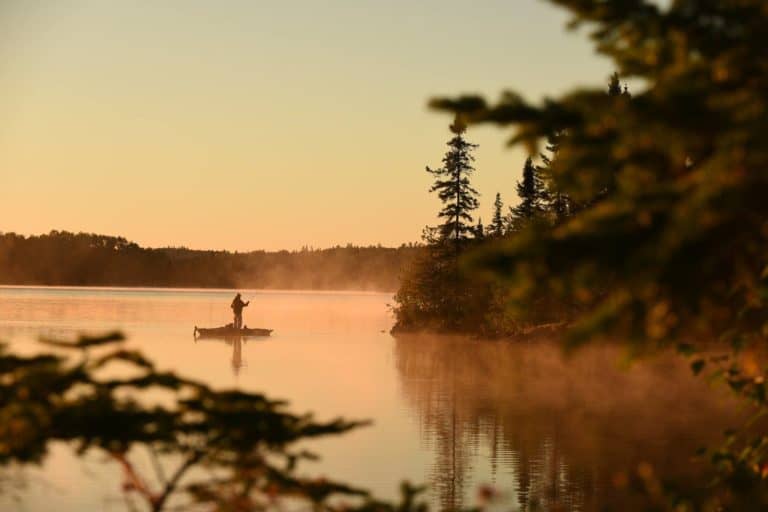 17854966 10155156314387603 5917936530070519011 o 768x512