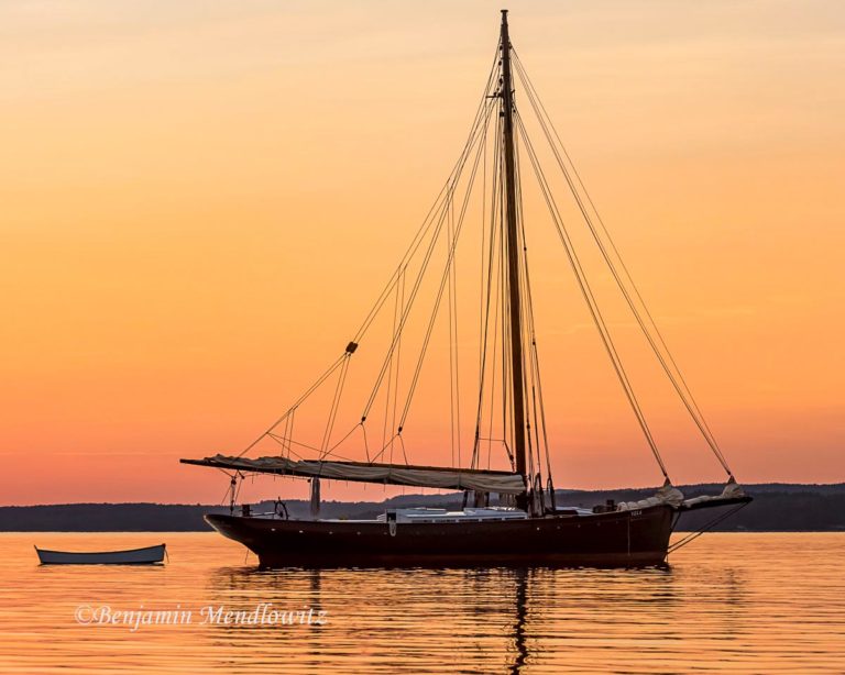 1810049 WCBS 768x614