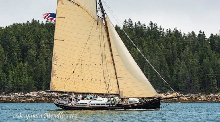 1820188 WCBS 1 768x427