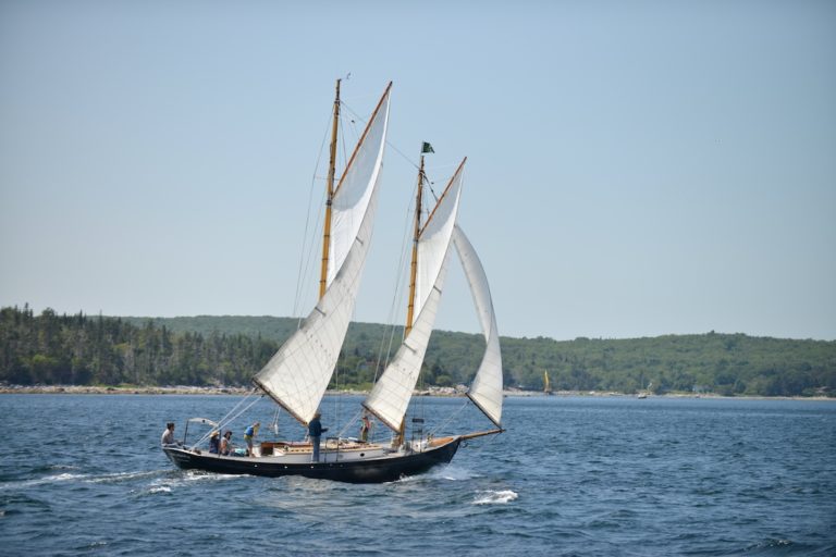 2017 08 10 at 19 04 42 768x512