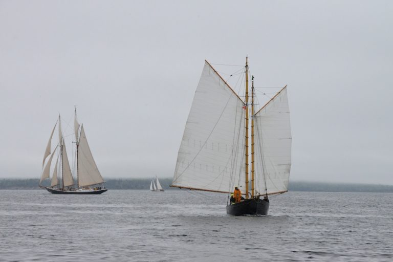 2017 08 12 at 19 47 17 768x512