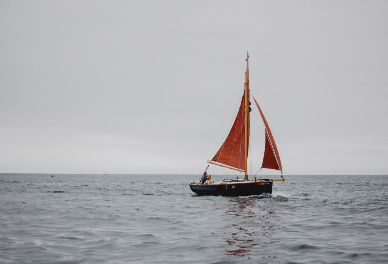 20210703 0282 768x522