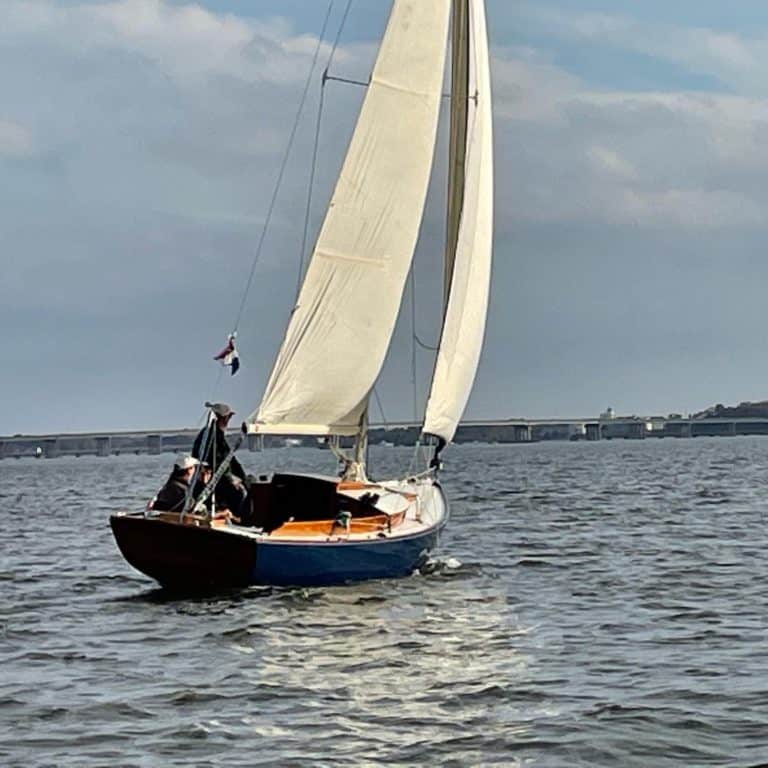 20211111 223945832 iOS 768x768