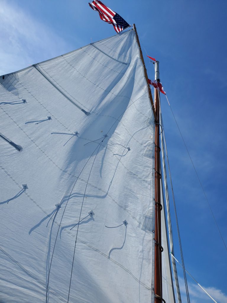 20220208 104759 768x1024