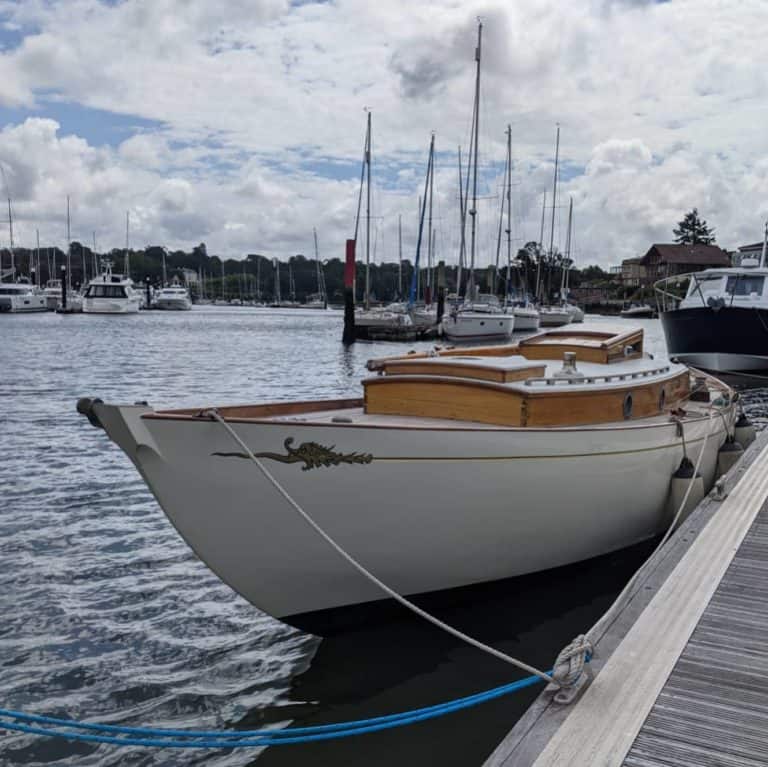 224337040 3012156252331093 5083820822938531763 n 768x767