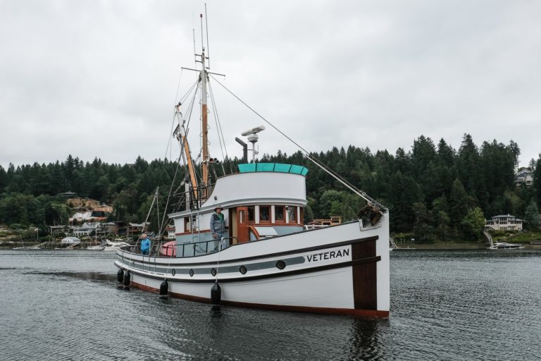 230587386 212845137514941 4421479719788135170 n 768x512