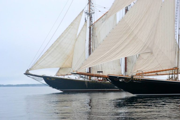 240459202 237853105010794 4082059736530062570 n 768x512