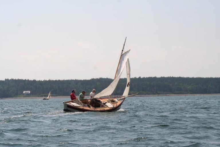 24131759 1985011191526429 473967226688300675 o 768x512