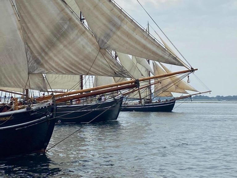 244362380 1439534719777882 4248443966581852346 n 768x576