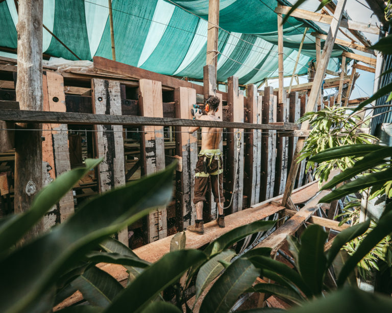 264266472 3120825194869071 1616830826159293512 n 768x614