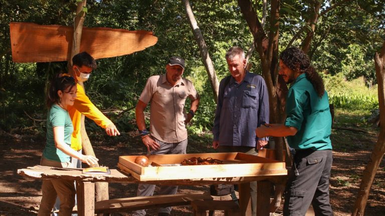 269222995 1516148642098308 7451163938239022232 n 768x430