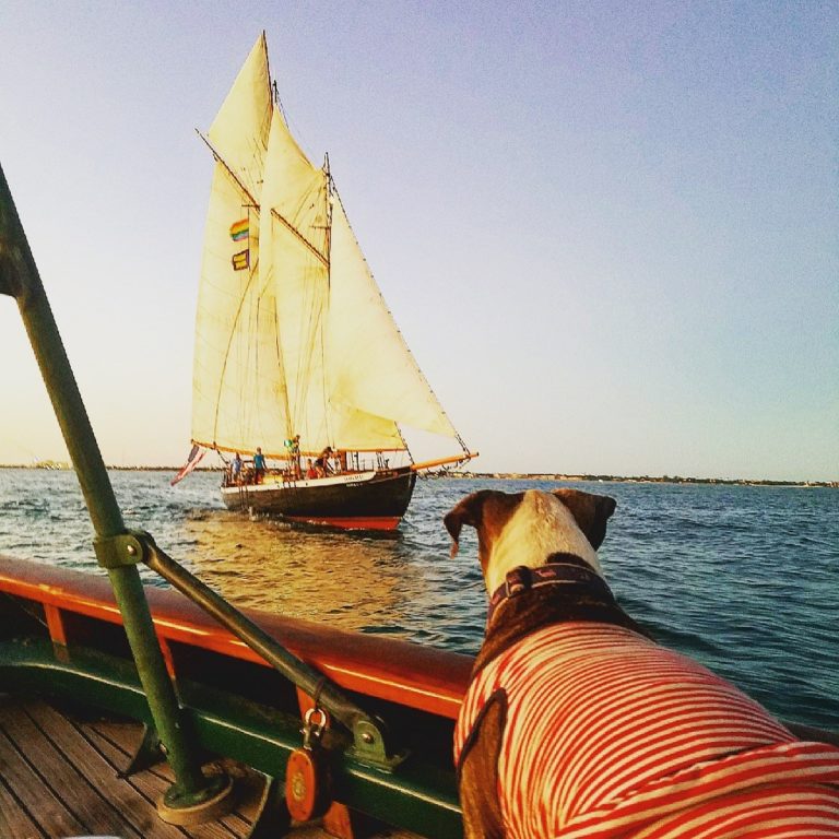 27164657 1524419447656054 2998193518644468707 o 768x768