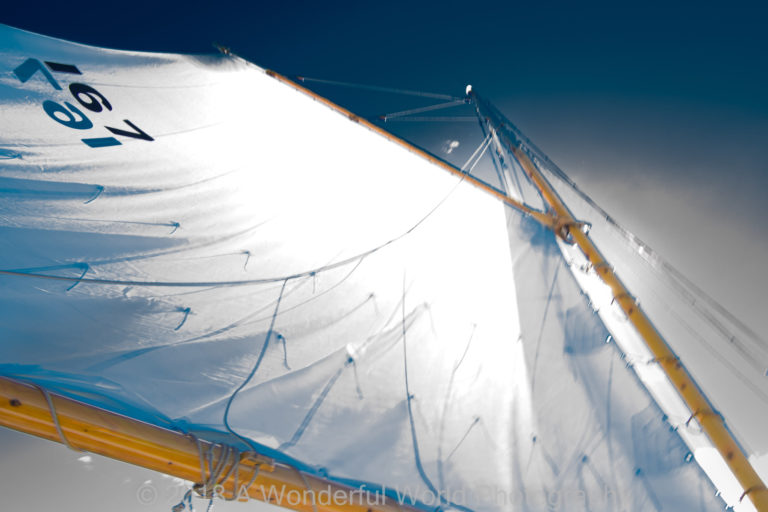 272902916 7168812976523481 594039859989003772 n 768x512