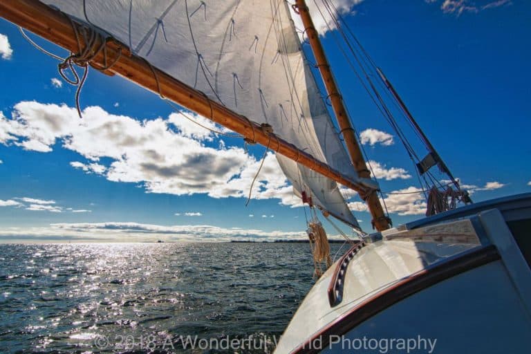 273020225 7192567257481386 2440986005705218174 n 768x512