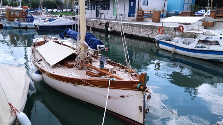 273362008 6826826744058466 123370276288634492 n 768x432