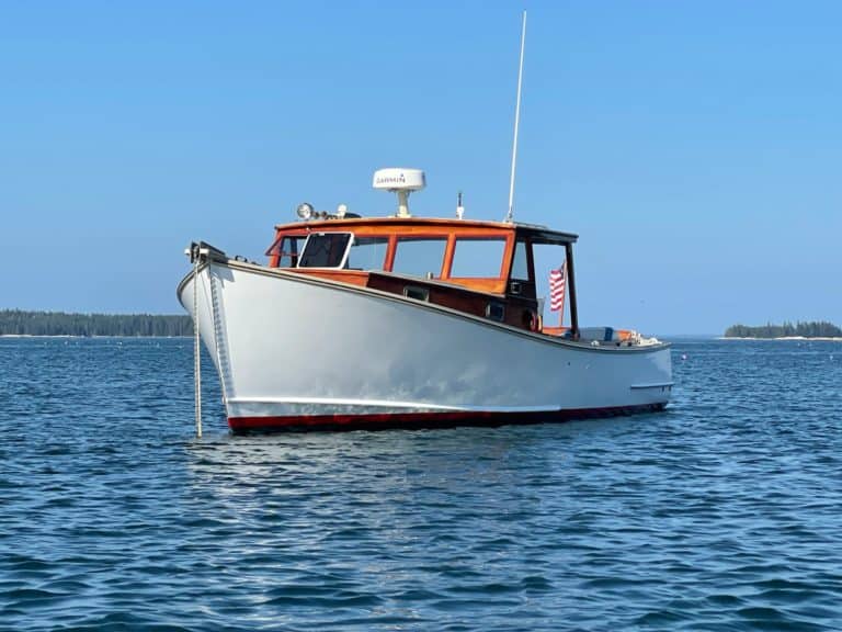 294A1B83 9DDC 4B08 A2F7 C2169162B1FE 1 768x576