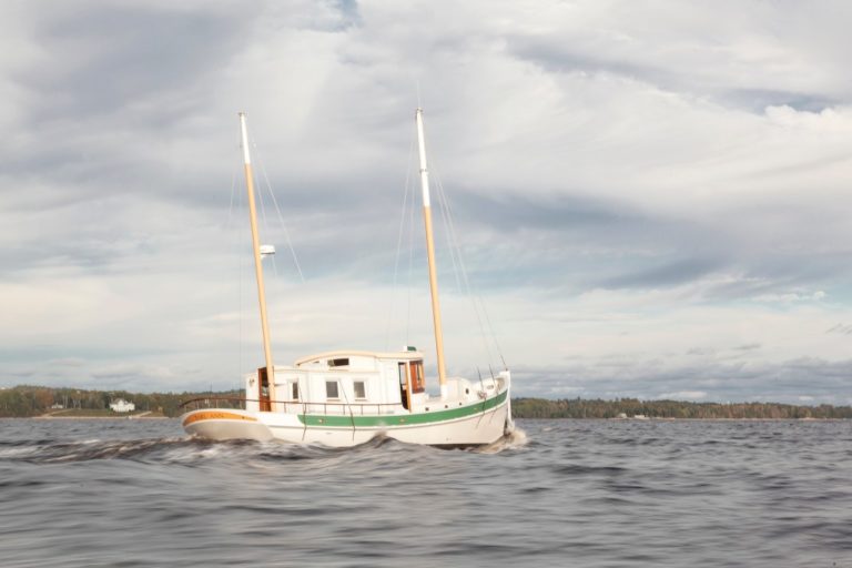 2ta steaming 768x512