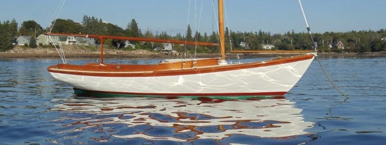 306543 335392436508107 778101002 n 768x288