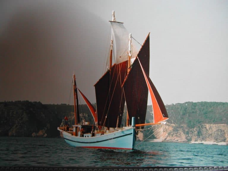 338288 351018158255361 1897486533 o 768x576