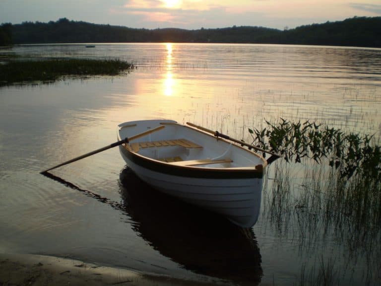 411102 10151505277800497 1370768687 o 768x576