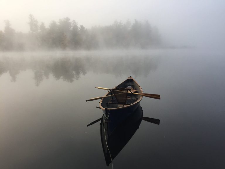 41550890 931417330379899 6430012675761111040 n 768x576