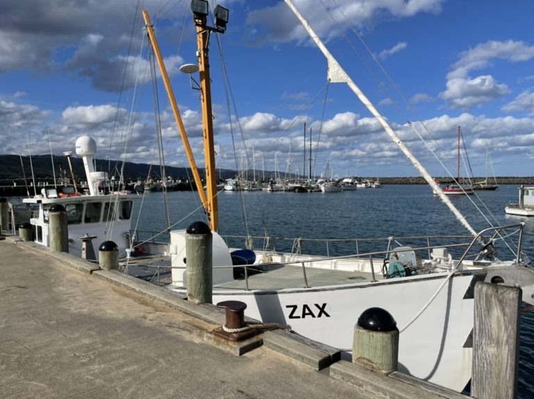 5FCF6679 A3F3 43DA 88FB 396BE3E2D929 768x575