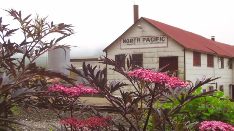 66040763 2396026447087002 6174635414989570048 n 768x432