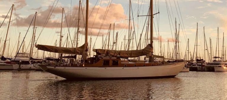 665DE428 0236 4D50 B9F3 377AB524A184 2048x1503 copy 768x338