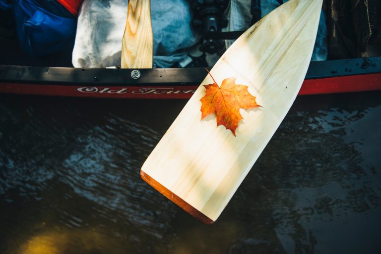 71640634 10157640429142603 2464783569696849920 n 768x513