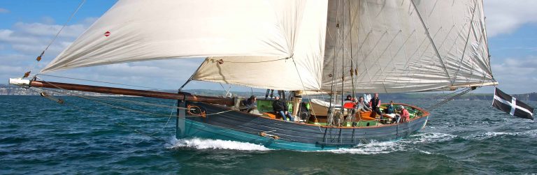 90235023 3002586293095111 8192716259616358400 n 768x251