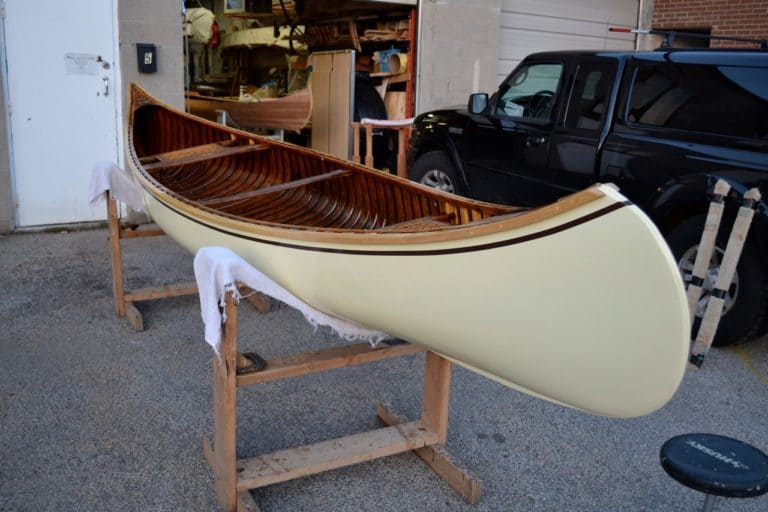 92409642 1477674359101662 8227519457652637696 n 768x512