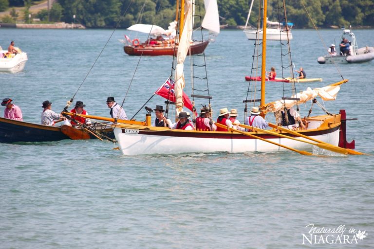 98190133 2992076724208463 1925643725258620928 n 768x512