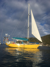 A126C8AE 51A2 4E85 ACC2 DD62A8B6C404