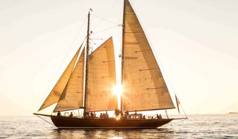 A64A0651 copy 768x449