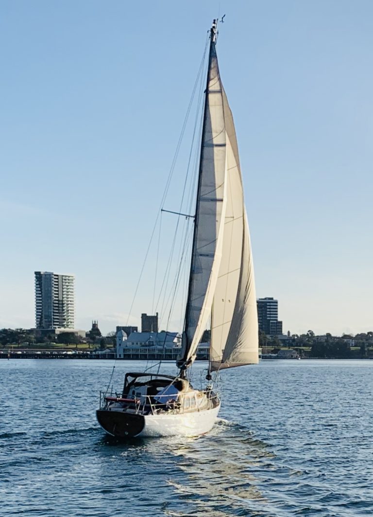 A6557737 B808 48A8 8191 E4271B1BD65E 768x1063