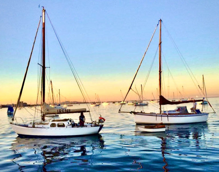 A7EEEF13 AD72 4712 BDF8 D335C5C8DF61 768x602